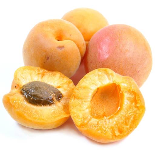 شعار جنة ماركا